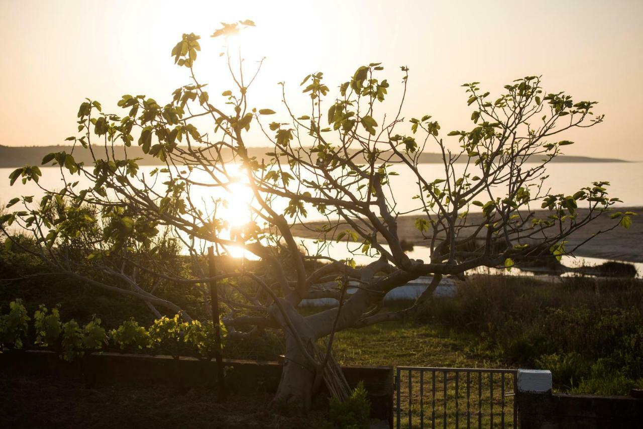 Holiday House Sunset Ljubač المظهر الخارجي الصورة